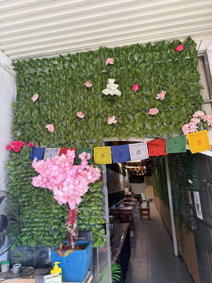 Green leaf wall and cherry blossom tree at the garden lane entrance